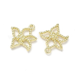 Подвески из сплава &nbsp;FIND-Z108-05LG