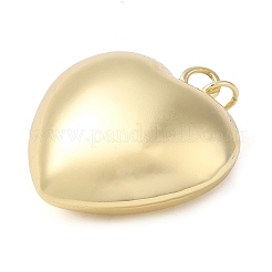 Pendentifs de placage en laiton&nbsp;KK-M260-01D-G