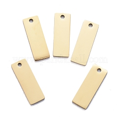 Pendentifs en acier inoxydable 304 avec placage ionique (IP)&nbsp;STAS-I140-22B-A