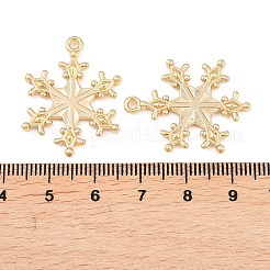 Подвески из сплава &nbsp;FIND-B059-05G-02