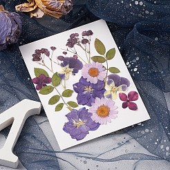 Прессованные сушеные цветы&nbsp;DIY-YWC0001-102