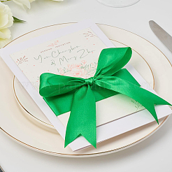 Полиэфирные ленты&nbsp;OCOR-WH20018-31A