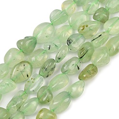 Chapelets de perles en préhnite naturelle&nbsp;G-R445-8x10-25-01