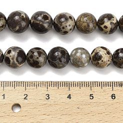 Нити бусин из натурального астроита и яшмы&nbsp;G-F814-A01-10mm