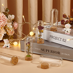 20 шт пустые стеклянные пробирки AJEW-BC0006-87