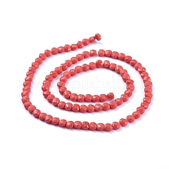 ガラスビーズ連売り  多面カット  フラットラウンド  レッド  6x4mm  穴：1.2mm  約98個/連  22インチ（53.5cm）&nbsp;EGLA-J149-B09