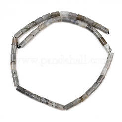 Natur Labradorit Perlen Stränge&nbsp;G-F832-B10-01