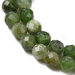 Натуральная зеленая яшма G-RM250101-C10