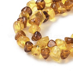 Янтарные шарики нити G-L095-E01-03