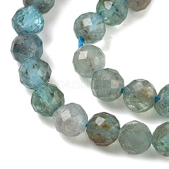 Природного апатита нитей бисера G-RM250101-D1-A