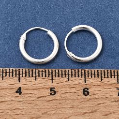 Orecchini a cerchio in ottone&nbsp;EJEW-G474-01S-01