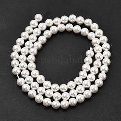 Гальванические оболочки жемчужные бусы пряди BSHE-K017-5mm-01