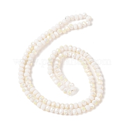 Гальваническое стекло граненые бусины рондель стренги&nbsp;EGLA-D020-3x2mm-05-B