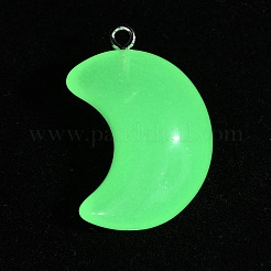 Ciondoli in resina trasparenti e luminosi che si illuminano al buio&nbsp;RESI-WH0038-27B-04