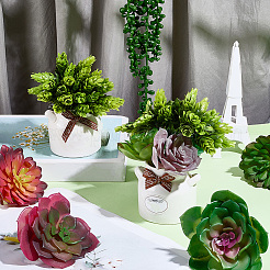 Pianta succulenta artificiale in pvc&nbsp;AJEW-SP0004-35A