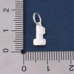 Série numérotée 925 breloques en argent sterling&nbsp;LS-STER-Q002-01B