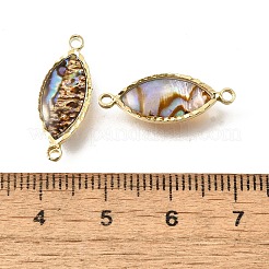 Латунные подвески-соединители из натуральной пауа-ракушки&nbsp;KK-E794-01G-09