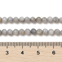 Натуральные пресноводные окрашенные бусы из ракушек SHEL-R100-12A-04