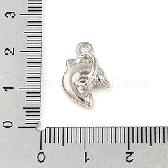 Пластмассовые подвески ccb&nbsp;FIND-U003-11P