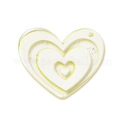 Pendentifs en plastique transparent&nbsp;KY-P014-01G
