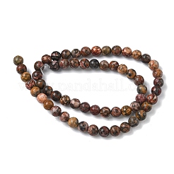 Натуральные леопардовые шкурки из яшмы&nbsp;G-J358-05-6mm