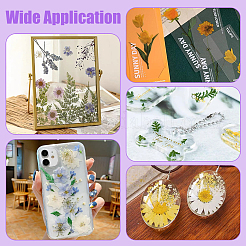 Квадратные прозрачные акриловые пресс-формы для цветов DIY-BC0012-68