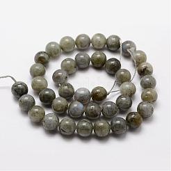 Labradorite naturale fili di perline&nbsp;G-O155-05A-10mm
