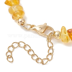 Ожерелья из натуральных янтарных бус для женщин&nbsp;NJEW-JN05871