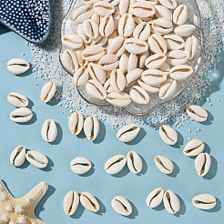 100 шт. бусины из натуральной ракушки каури BSHE-LT0001-07B