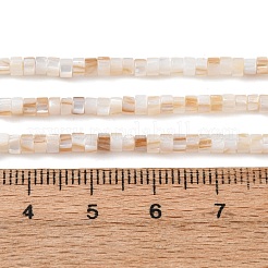 Natürlichen Süßwasser-Muschelperlen Stränge&nbsp;X-SHEL-K006-72A