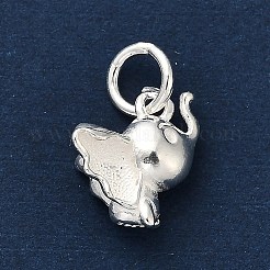 925 стерлингов серебряные подвески FIND-Z069-02S