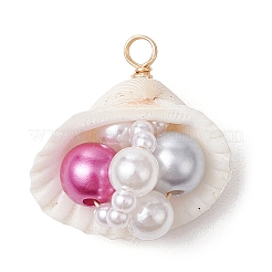 Подвески из натуральных ракушек&nbsp;PALLOY-JF03551