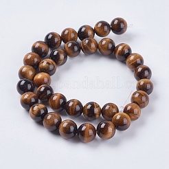 Натуральные нити бусин «Тигровый глаз» G-GSR12mmC014-A