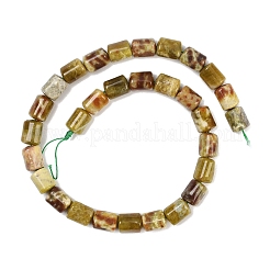 Натуральный дракон яшма кровь бисер пряди G-S396-03C