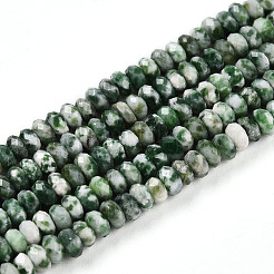 Натуральные зеленые пятна яшмовых нитей G-T141-41