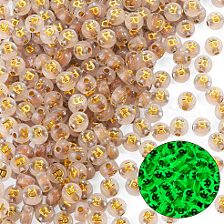 50g leuchtende transparente Acrylperlen&nbsp;OACR-TAD0001-01R