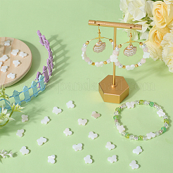 2 нить бусин из натуральных пресноводных ракушек SHEL-SC0001-40