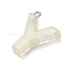 Светящиеся подвески смолы X1-RESI-I059-Y02