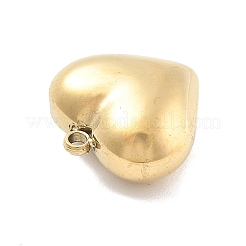 Подвески из хирургической нержавеющей стали 316 STAS-A108-01A-G