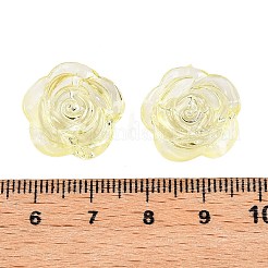 Прозрачные акриловые бусины&nbsp;LS-OACR-N137-32D