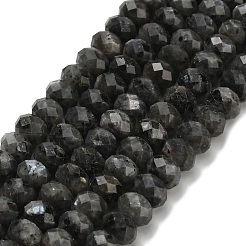 Натуральные нити бус из ларвикита G-Z111-A42