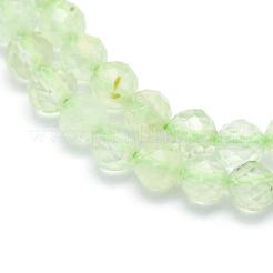 Природные пренит нитей бисера G-E411-25-4mm