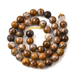 Природные африканские опал бусины пряди G-S390-06-8mm