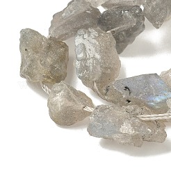 Необработанные необработанные натуральные лабрадоритные бусины G-M453-D14