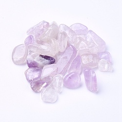 Perles d'améthyste naturelle, non percé / pas de trou, puces, 6~29x3~10x2~8mm, environ 100 g /sachet 