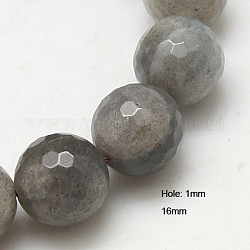 Natural Labradorite Beads Strands, Faceted, Round, Gray, 16mm, Hole: 1mm, about 25pcs/ strand, 15.5 inch