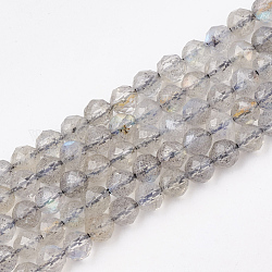 Chapelets de perles en labradorite naturelle , facette, ronde, 3.5mm, Trou: 0.6mm, Environ 113 pcs/chapelet, 15.7 pouce