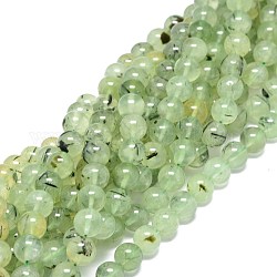Natural Prehnite Beads Strands, Round, 10~10.5mm, Hole: 1mm, about 39pcs/strand, 15.55 inch(39.5cm)