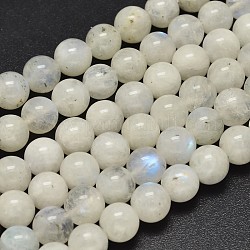 Runde Perlenstränge aus natürlichen Regenbogen-Mondsteinperlen, 8.5 mm, Bohrung: 1 mm, ca. 42 Stk. / Strang, 15.5 Zoll