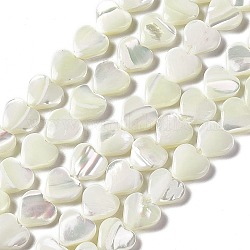 Fili di perle di conchiglia trochid naturale / trochus, cuore, colore conchiglia, 8.5~9.5x10x3~3.5mm, Foro: 0.5~0.6 mm, circa 44pcs/filo, 15.16~15.35 pollice (38.5~39 cm)